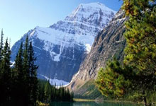 足球赛场强队碾压弱队，焦点战报引发关注